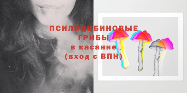 ешки Аркадак