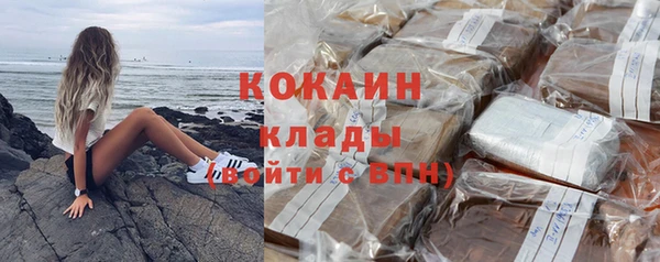 ешки Аркадак