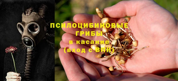 прущая мука Армянск