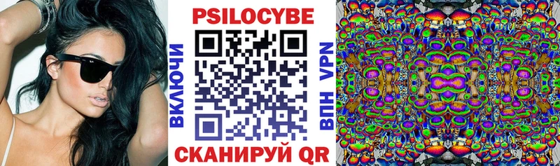 купить наркотики цена  Морозовск  Галлюциногенные грибы Psilocybe 